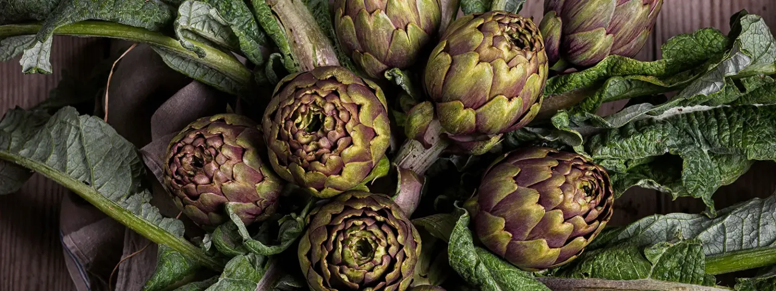 Sagra del Carciofo