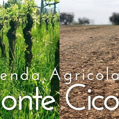Azienda_Agricola_Monte_Cicogna.jpg