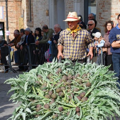 Carciofi-Montelupone.jpg
