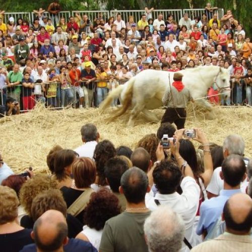 Festa-del-Grano-a-Raddusa-La-Pisatura-640_900x900.jpeg