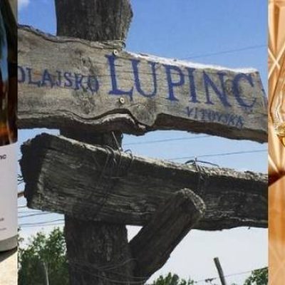 Lupinc.jpg