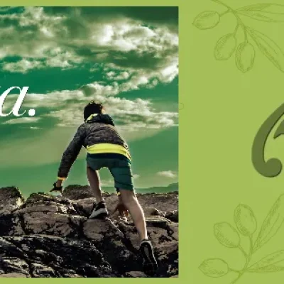 Abbo Frantoio del Podere Bevera